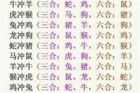 兔虎三合|十二生肖三合、六合、相冲详解